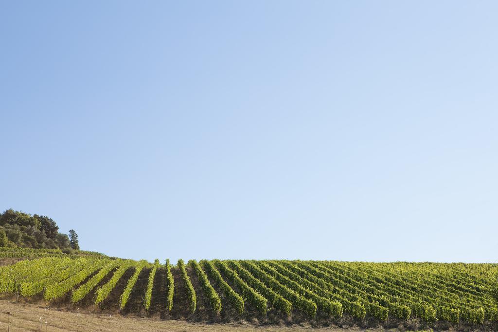 Quercia Al Poggio Βίλα Barberino di Val dʼElsa Εξωτερικό φωτογραφία